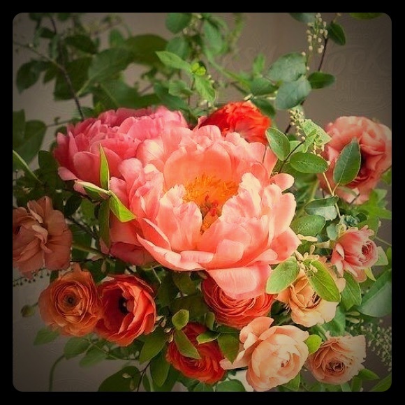 Women’s clothing - Picture 1 of 1